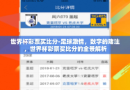 世界杯彩票买比分-足球激情，数字的赌注，世界杯彩票买比分的全景解析