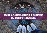 日本买世界杯彩票-揭秘日本世界杯彩票热潮，足球激情与幸运的交汇