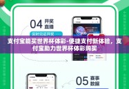 支付宝能买世界杯体彩-便捷支付新体验，支付宝助力世界杯体彩购买