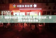 体彩中的世界杯彩票怎么买-足球狂欢，智选世界杯体彩攻略