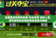 在哪里买世界杯彩票-风光无界 竞彩人生，探究世界杯彩票的购买渠道与策略