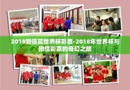 2018微信买世界杯彩票-2018年世界杯与微信彩票的奇幻之旅