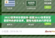 2022世界杯彩票软件-探索2022世界杯彩票软件的多彩世界，理性与娱乐的巧妙结合
