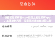微信买世界杯的app-微信上的世界杯app，从便捷到风险，探索足球迷的在线投注新体验