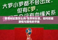 世界杯彩票怎么吗-世界杯彩票，如何把握激情与理性的平衡
