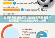 世界杯彩票没法买了-告别往昔风潮 世界杯彩票新规下的市场变迁与个人反思
