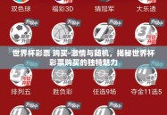 世界杯彩票 购买-激情与随机，揭秘世界杯彩票购买的独特魅力