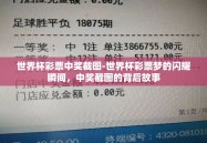 世界杯彩票中奖截图-世界杯彩票梦的闪耀瞬间，中奖截图的背后故事