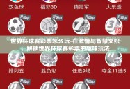 世界杯球赛彩票怎么玩-在激情与智慧交织，解锁世界杯球赛彩票的趣味玩法