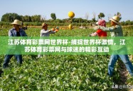 江苏体育彩票网世界杯-捕捉世界杯激情，江苏体育彩票网与球迷的精彩互动