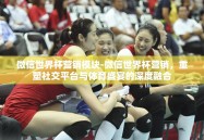 微信世界杯营销模块-微信世界杯营销，重塑社交平台与体育盛宴的深度融合