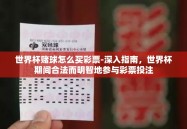 世界杯赌球怎么买彩票-深入指南，世界杯期间合法而明智地参与彩票投注