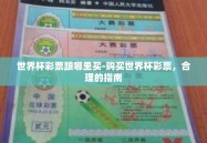 世界杯彩票跟哪里买-购买世界杯彩票，合理的指南