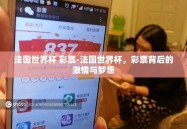 法国世界杯 彩票-法国世界杯，彩票背后的激情与梦想