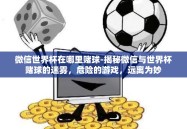 微信世界杯在哪里赌球-揭秘微信与世界杯赌球的迷雾，危险的游戏，远离为妙
