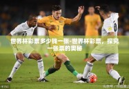 世界杯彩票多少钱一张-世界杯彩票，探究一张票的奥秘