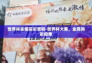 世界杯去哪买彩票啊-世界杯大赛，全民购彩指南