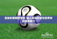 足球彩票网世界杯-迷人足球彩票与世界杯的激荡魅力