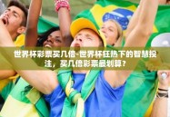世界杯彩票买几倍-世界杯狂热下的智慧投注，买几倍彩票最划算？