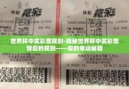 世界杯中奖彩票规则-揭秘世界杯中奖彩票背后的规则——你的幸运秘籍