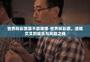 世界杯彩票算不算赌博-世界杯彩票，透视交叉的娱乐与风险之线