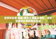 世界杯彩票 购买-世界杯激情与理智，浅析世界杯彩票的购买抉择