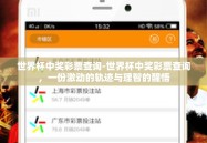世界杯中奖彩票查询-世界杯中奖彩票查询，一份激动的轨迹与理智的醒悟