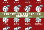 中国官方世界杯彩票-中国官方世界杯彩票的抉择与契机