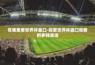 在哪里看世界杯盘口-探索世界杯盘口观看的多样途径