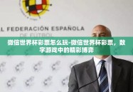 微信世界杯彩票怎么玩-微信世界杯彩票，数字游戏中的精彩博弈