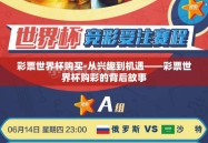彩票世界杯购买-从兴趣到机遇——彩票世界杯购彩的背后故事