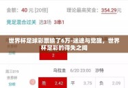 世界杯足球彩票输了6万-迷途与觉醒，世界杯足彩的得失之间