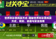 世界杯彩票购买方式-揭秘世界杯彩票购买方式，规则、渠道与安全指南