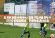 世界杯彩票 体彩中心-世界杯足球盛宴与体彩中心的精彩碰撞，梦想与机遇的交织