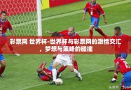 彩票网 世界杯-世界杯与彩票网的激情交汇，梦想与策略的碰撞