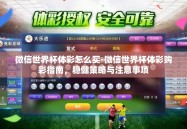 微信世界杯体彩怎么买-微信世界杯体彩购彩指南，稳健策略与注意事项