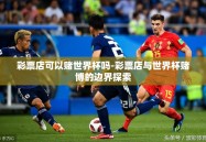 彩票店可以赌世界杯吗-彩票店与世界杯赌博的边界探索
