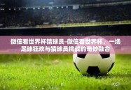 微信看世界杯猜球员-微信看世界杯，一场足球狂欢与猜球员挑战的奇妙融合