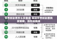 世界杯彩票怎么买靠谱-解锁世界杯彩票购买策略，赢在起跑线