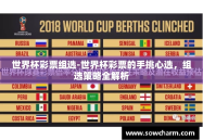 世界杯彩票组选-世界杯彩票的手挑心选，组选策略全解析