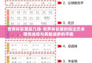 世界杯彩票买几倍-世界杯彩票的投注艺术，理性选择与勇敢追梦的平衡