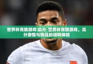 世界杯竞猜游戏 瓜分-世界杯竞猜游戏，瓜分激情与挑战的独特体验