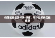 微信能看世界杯吗-微信，掌中世界的足球盛宴