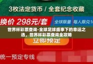 世界杯彩票查询-全球足球盛事下的幸运之选，世界杯彩票查询全攻略