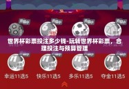 世界杯彩票投注多少钱-玩转世界杯彩票，合理投注与预算管理