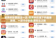 世界杯彩票投注一次-世界杯狂潮下的趣味抉择，一次小小的彩票投注之旅