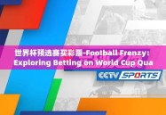 世界杯预选赛买彩票-Football Frenzy: Exploring Betting on World Cup Qualifying Matches
