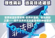 世界杯买彩票官网-世界杯激情，智选购彩之道——揭开世界杯买彩票官网的神秘面纱