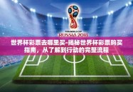 世界杯彩票去哪里买-揭秘世界杯彩票购买指南，从了解到行动的完整流程