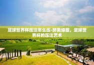 足球世界杯压注怎么压-醉美绿茵，足球世界杯的压注艺术